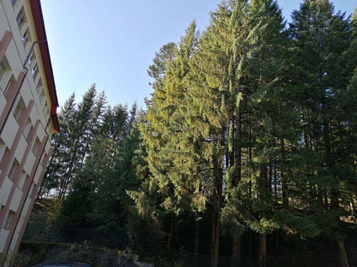 Hostel Cppi Nord Busteni Exterior photo