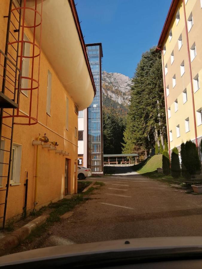 Hostel Cppi Nord Busteni Exterior photo