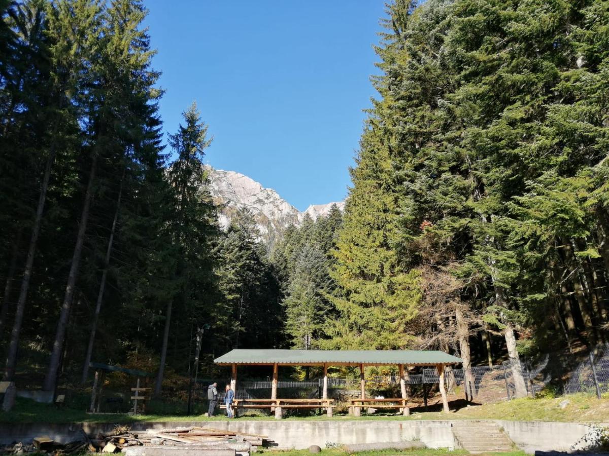 Hostel Cppi Nord Busteni Exterior photo
