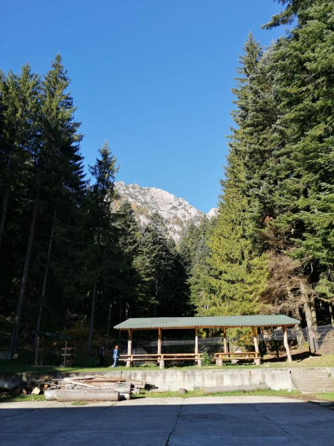 Hostel Cppi Nord Busteni Exterior photo