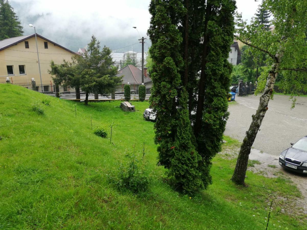 Hostel Cppi Nord Busteni Exterior photo